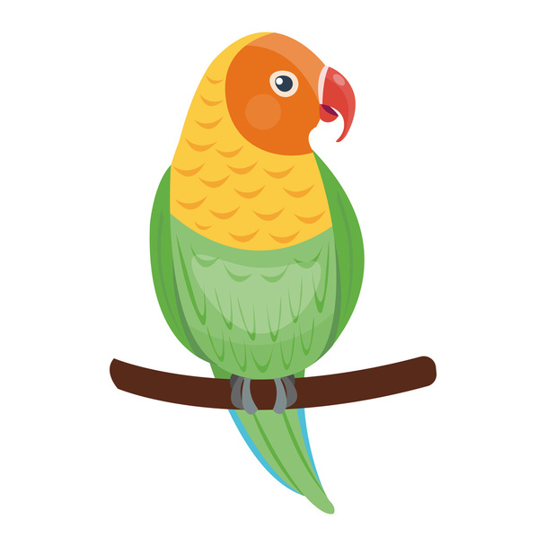 Cartoon parrot vector bird - Vektor, obrázek