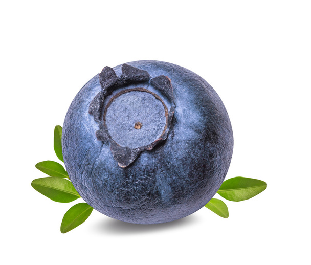 Fresh blueberries isolated on white - 写真・画像
