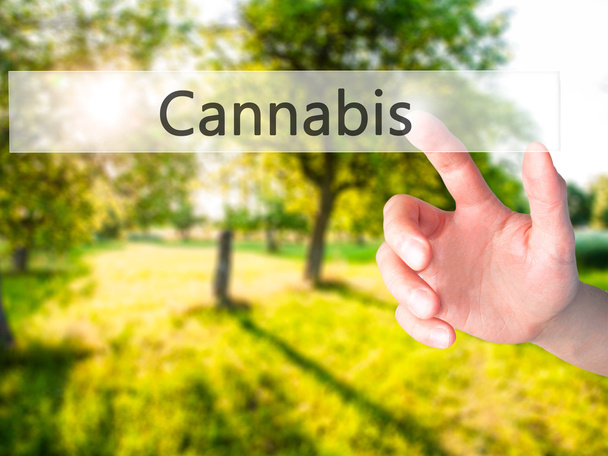 Cannabis - Hand auf Knopfdruck auf verschwommenem Hintergrundkonzept  - Foto, Bild