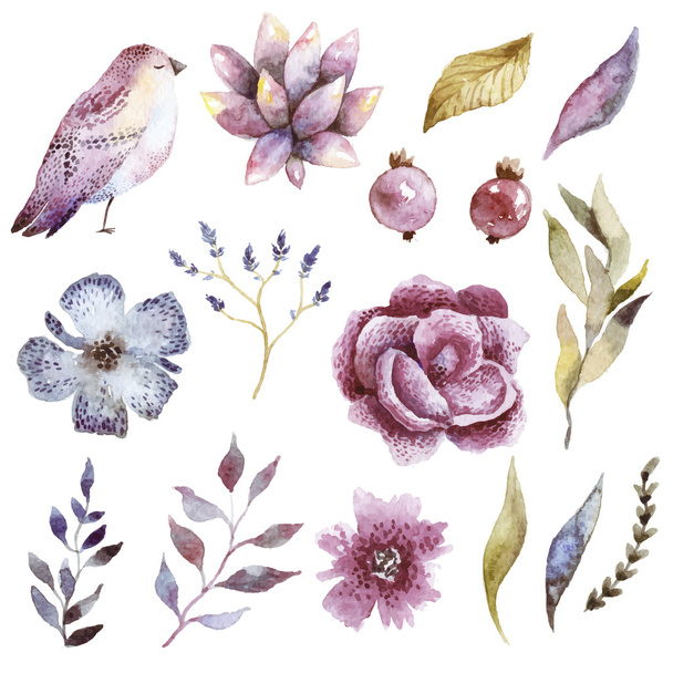 Virágos akvarell szett madár - Vektor, kép