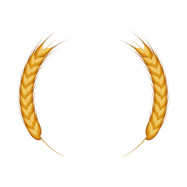 cosecha de cereales de trigo
 - Vector, Imagen