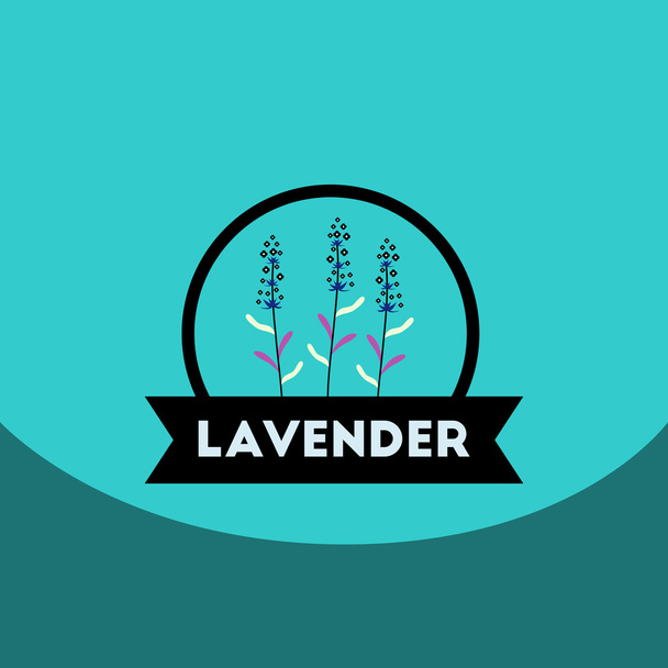 flat vector icon design collection Kitchenware seasoning lavender - Vector, Image