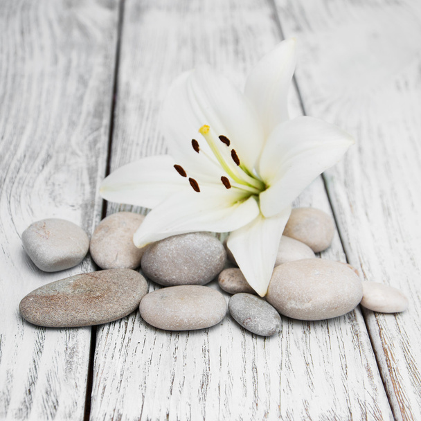 Giglio bianco e pietre da massaggio
 - Foto, immagini