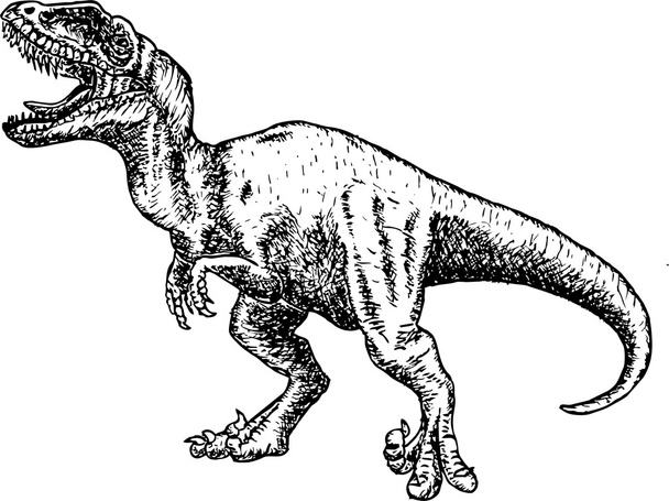 T rex dinosaurus. dinosaurus piirustus lyijykynä luonnos
 - Vektori, kuva