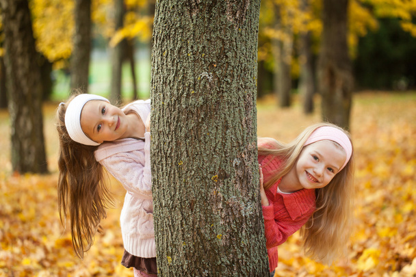 Two girls playing in autumn park - 写真・画像