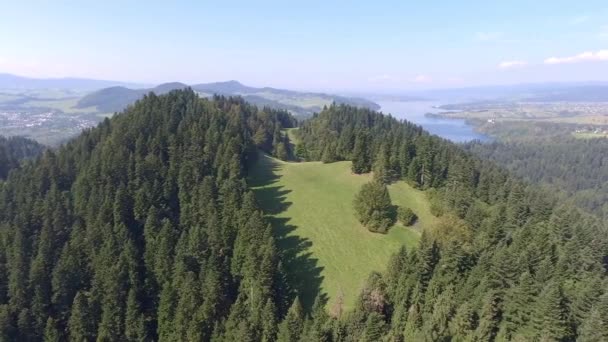 Landcsape di montagna durante l'estate nel sud della Polonia. Vista dall'alto
. - Filmati, video