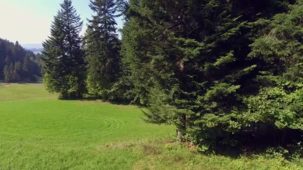 Gebirgslandschaften zur Sommerzeit im Süden Polens. Blick von oben. - Filmmaterial, Video