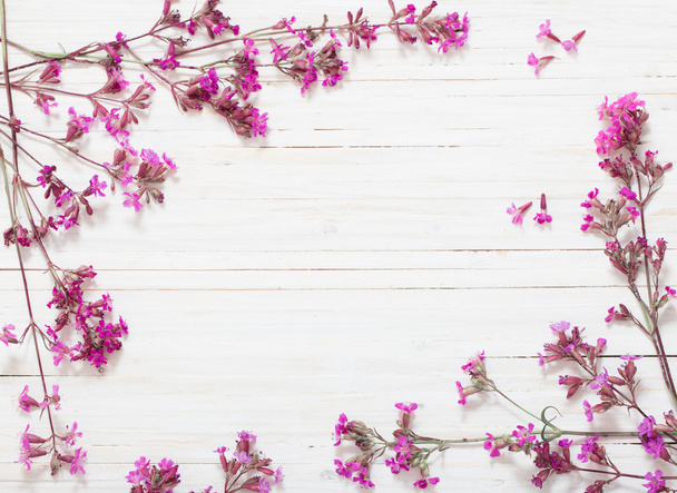 pink flowers on white wooden background - Photo, Image