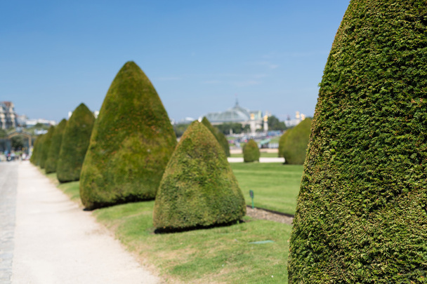 beautiful gardens of invalides - Foto, imagen