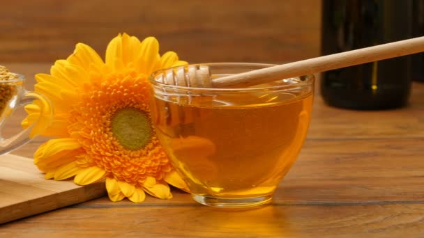 Composition of honey, honeycomb, fruits, bee bread and flowers (RL Pan, No 10.3) - Felvétel, videó