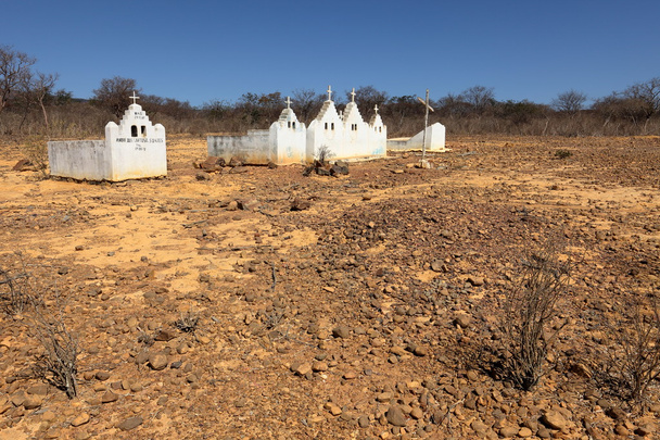 Lonely old cemetery in the Caatinga of Brazil - Photo, Image