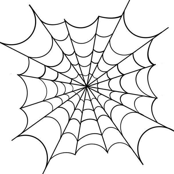 Pókháló fehér háttér - Vektor, kép