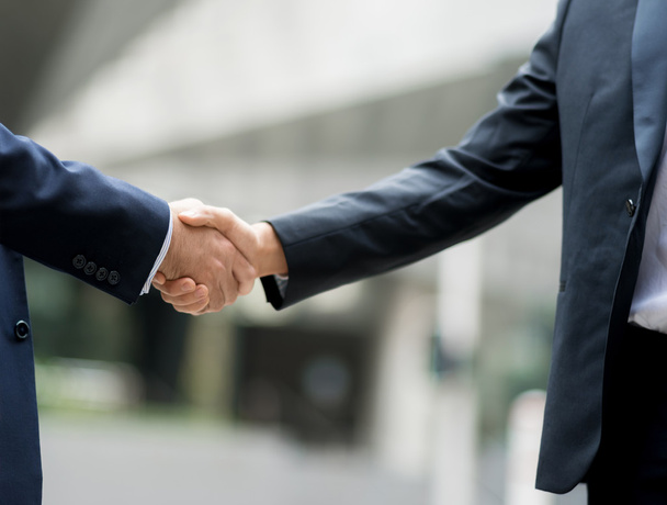 Two businessmen shaking their hands - Φωτογραφία, εικόνα