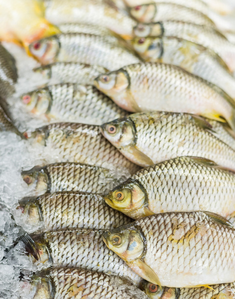 Süpermarkette taze balıklar - Fotoğraf, Görsel
