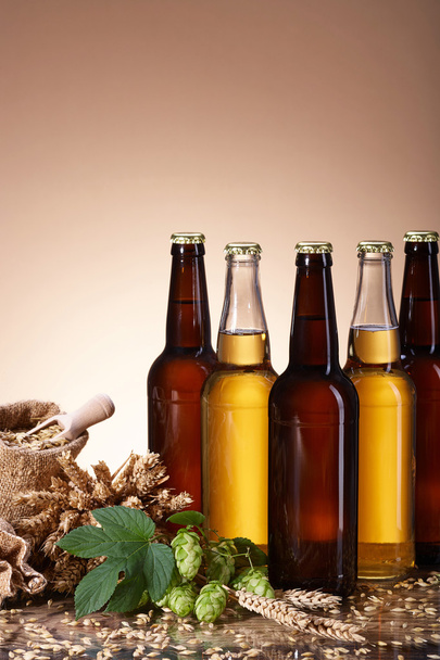 Асортимент пива та інгредієнтів для заварювання
 - Фото, зображення