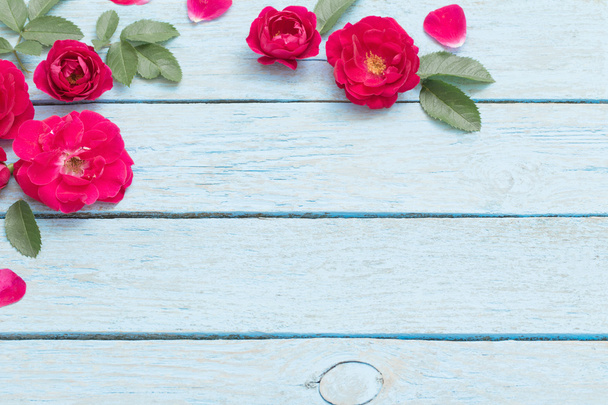 red rose on a blue wooden background - Foto, Imagen