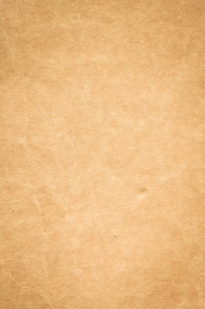 Extra large Old grunge paper for background - Photo, Image