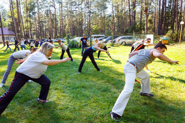 Group of capoeira students with master teacher - Foto, Bild