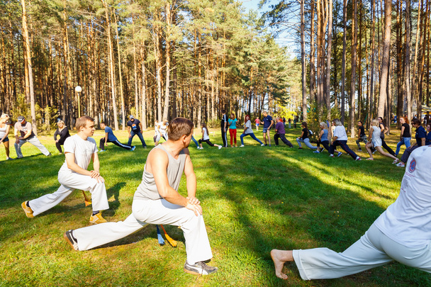 Group of capoeira students with master teacher - Zdjęcie, obraz