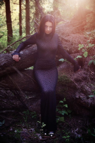 Прекрасная ведьма позирует в мистическом лесу
 - Фото, изображение