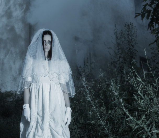 bride's ghost in the night forest - Φωτογραφία, εικόνα