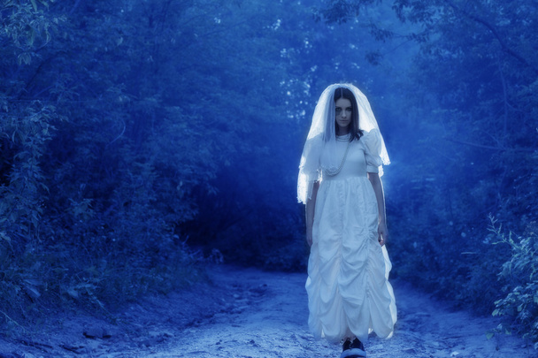 bride's ghost in the night forest - 写真・画像