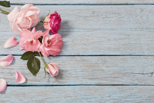 Beautiful roses on blue old wooden background - Foto, Imagen
