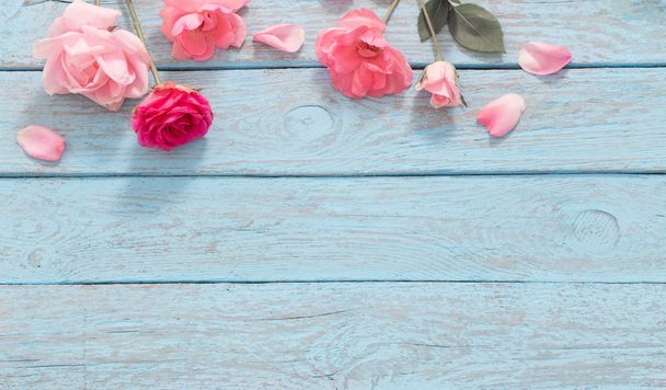 Beautiful roses on blue old wooden background - Photo, image
