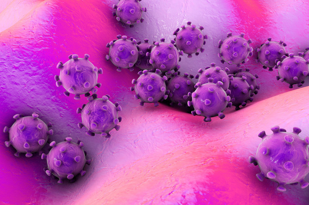 ヒトの細胞に感染するウイルス - 写真・画像