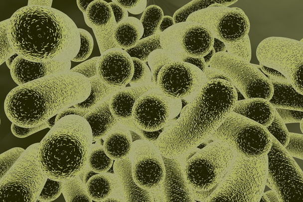 Sauvan muotoiset bakteerit
 - Valokuva, kuva
