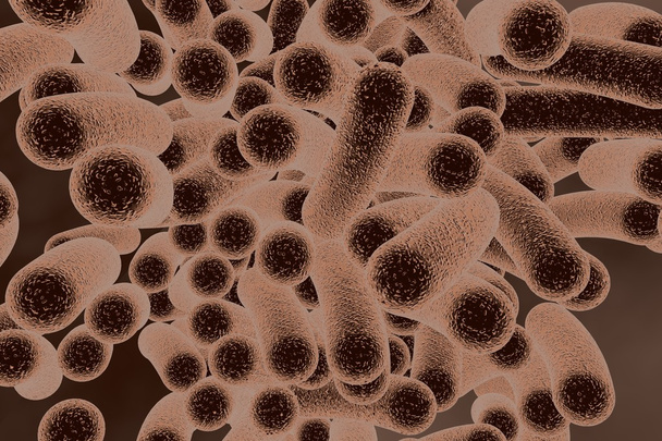 Бактерии в форме стержня
 - Фото, изображение