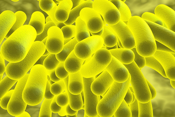 Rod shaped bacteria - Photo, Image