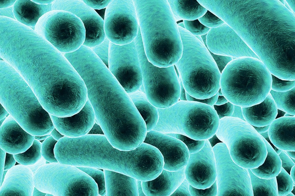 Rod vormige bacteriën - Foto, afbeelding