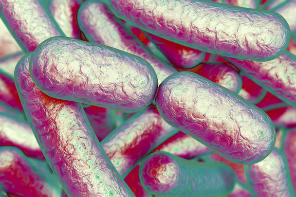 βακτήρια ράβδο σχήματος - Φωτογραφία, εικόνα