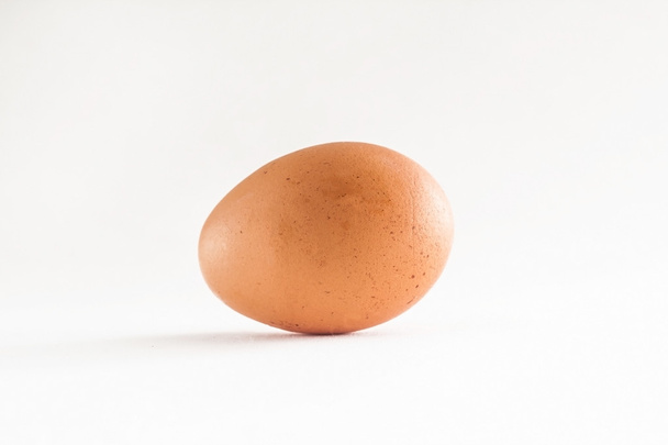 One brown egg isolated white background - Photo, Image