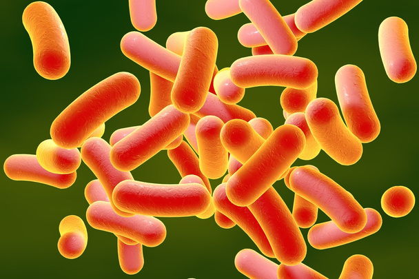 Çubuk şeklinde bakteri - Fotoğraf, Görsel