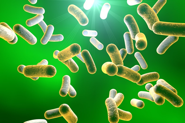 Stabförmige Bakterien - Foto, Bild