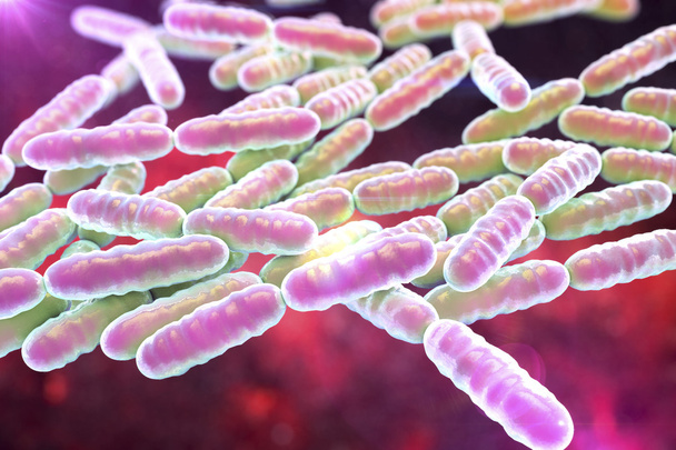 Probiotické bakterie Lactobacillus - Fotografie, Obrázek