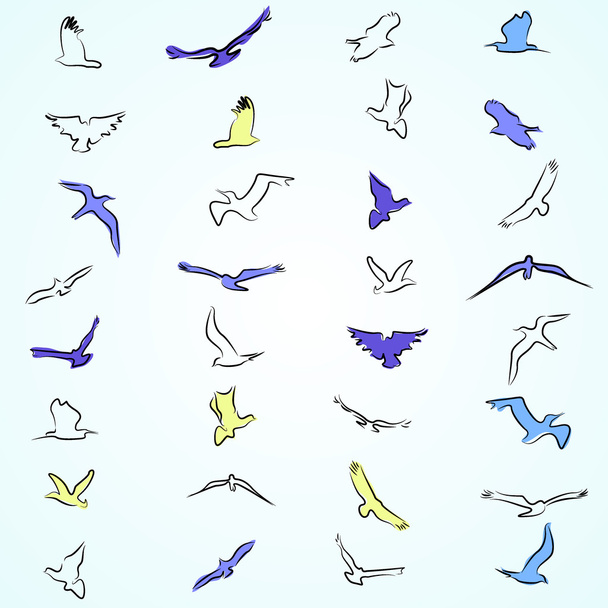 A set of painted birds. Simple drawing. Outline of birds, painted birds. - Vektor, obrázek
