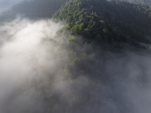 風景霧パノラマ。ロッキー マウントの幻想的な夢のような日の出 - 写真・画像
