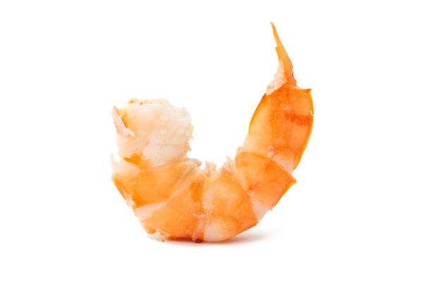 Tiger shrimp. Prawn isolated  - Photo, Image