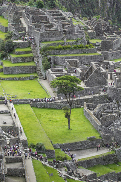 Widok z starożytnego miasta Inca Machu Picchu. Wieku 15-th - Zdjęcie, obraz