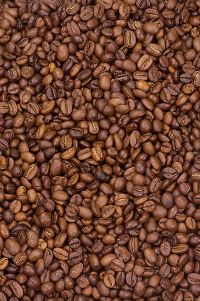 Kahve çekirdeği - Fotoğraf, Görsel