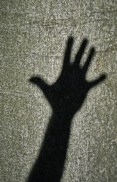 Uma mão das sombras
 - Foto, Imagem