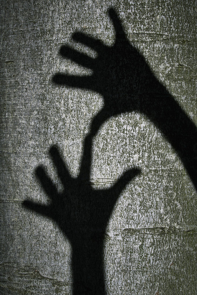 Two shadows hands - Photo, Image