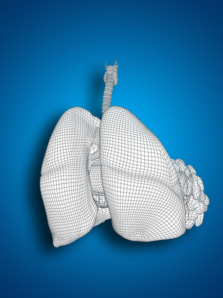  drátěný pletivo dýchací systém  - Fotografie, Obrázek