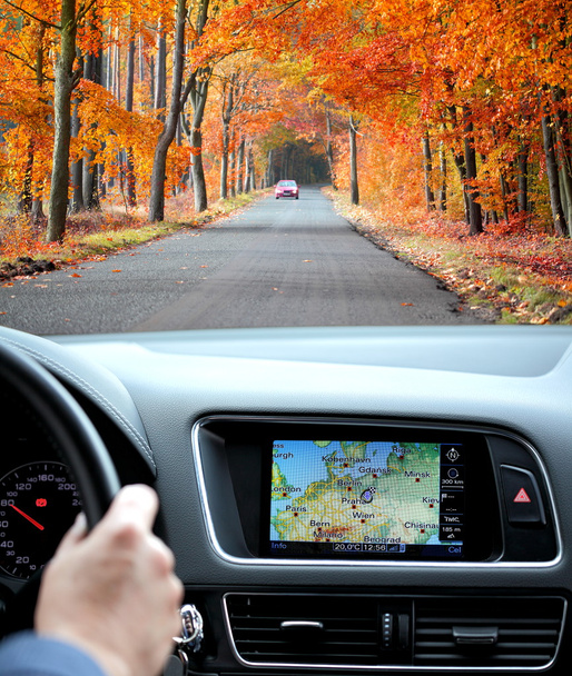 Viaggio in auto con GPS
 - Foto, immagini
