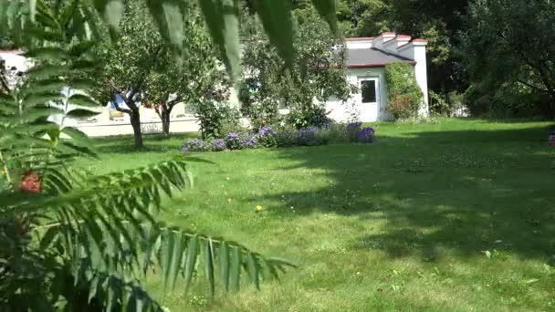 έργο του ανθρώπου με την μηχανή του γκαζόν στον κήπο λουλουδιών στο καλοκαίρι. 4k - Πλάνα, βίντεο