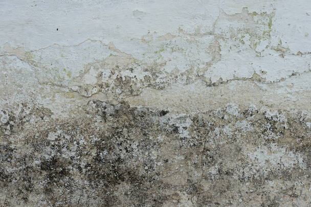 Wall fragment with attritions and cracks - Photo, Image