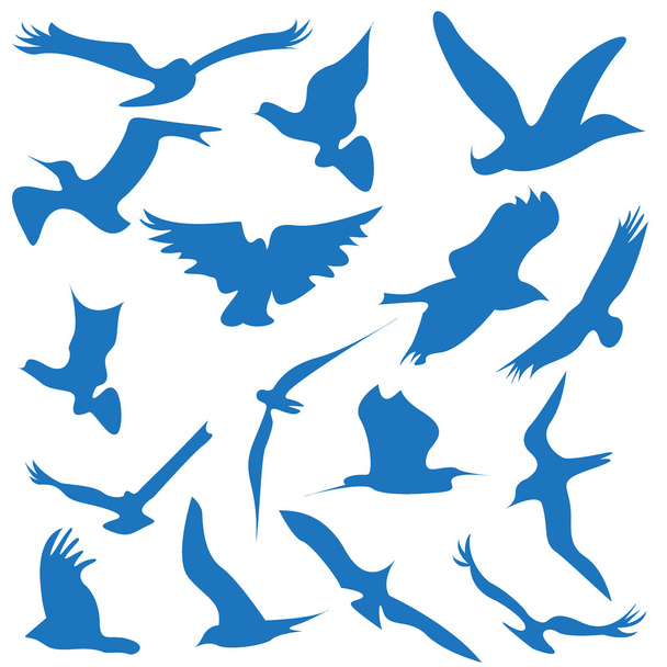 Логотип и иконки летающих птиц
 - Вектор,изображение